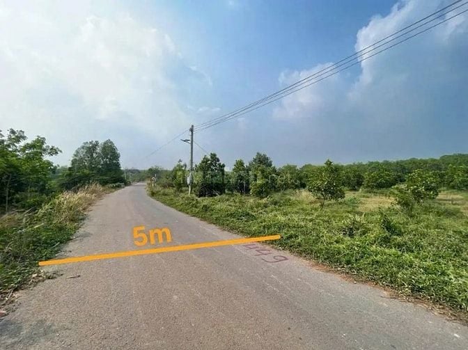 Công ty Đấu giá hợp danh Lam Sơn Sài Gòn THÔNG BÁO ĐẤU GIÁ TÀI SẢN