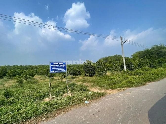 Công ty Đấu giá hợp danh Lam Sơn Sài Gòn THÔNG BÁO ĐẤU GIÁ TÀI SẢN