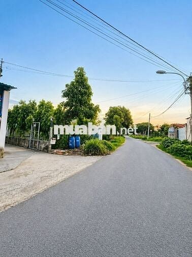 Cần tiền - Bán lô đất mặt tiền đường nhựa, 140m² (5,5x26). SHR