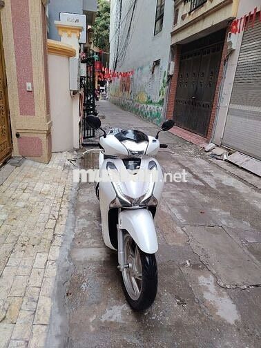 Honda SH Trắng