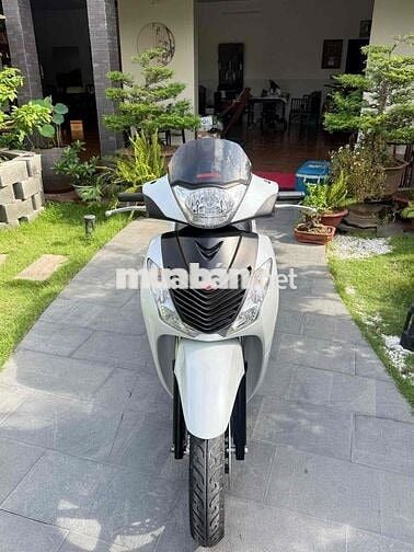 SH150 Nhập Ý SM108 máy rin Trắng Sporty