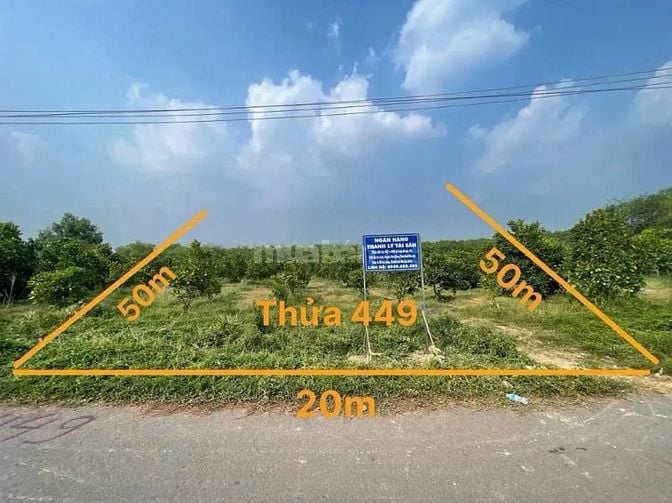 Công ty Đấu giá hợp danh Lam Sơn Sài Gòn THÔNG BÁO ĐẤU GIÁ TÀI SẢN