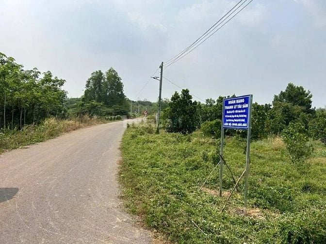 Công ty Đấu giá hợp danh Lam Sơn Sài Gòn THÔNG BÁO ĐẤU GIÁ TÀI SẢN