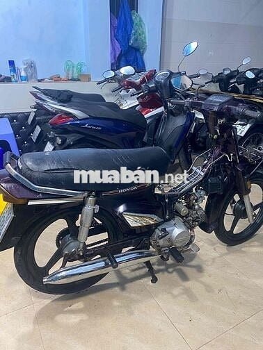 Honda Dream Tím