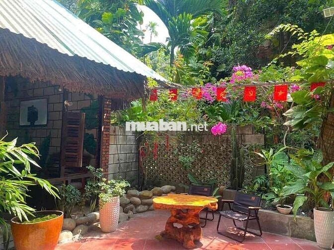 Cho thuê toàn bộ quán cf Sẵn đồ vào kinh doanh luôn