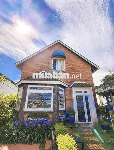 🏡 CHO THUÊ VILLA SÂN VƯỜN P8 ĐÀ LẠT  📍 Đường Trần Đại Nghĩa, Phường 8,