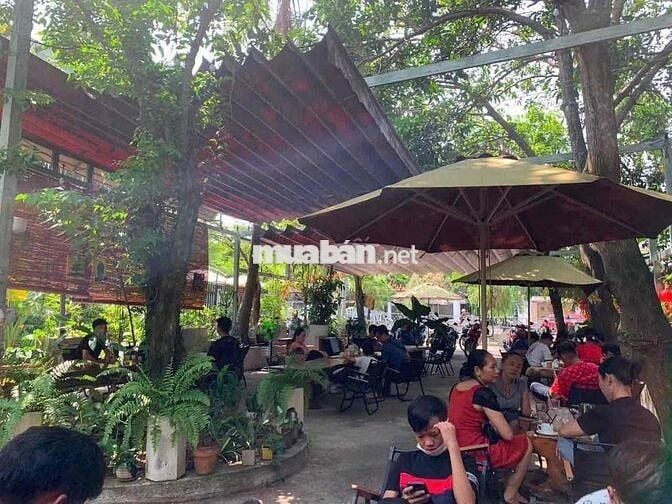 Cho thuê toàn bộ quán cf Sẵn đồ vào kinh doanh luôn