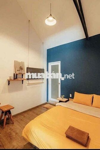 🏡 CHO THUÊ VILLA SÂN VƯỜN P8 ĐÀ LẠT  📍 Đường Trần Đại Nghĩa, Phường 8,