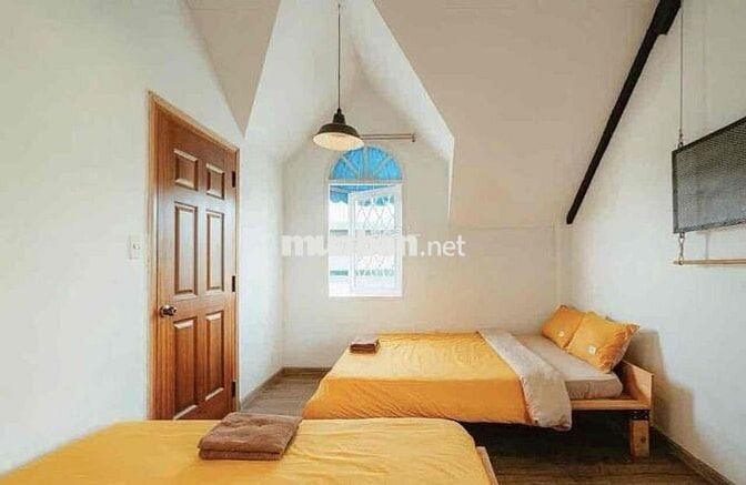 🏡 CHO THUÊ VILLA SÂN VƯỜN P8 ĐÀ LẠT  📍 Đường Trần Đại Nghĩa, Phường 8,