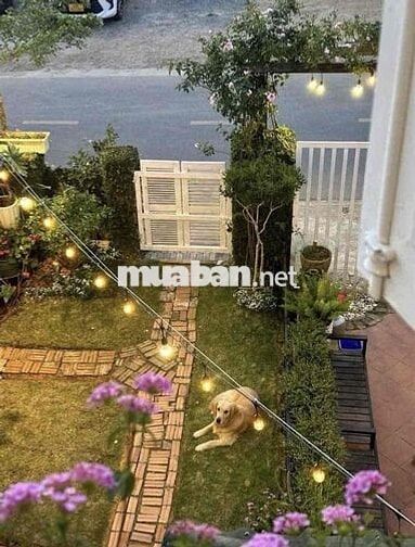 🏡 CHO THUÊ VILLA SÂN VƯỜN P8 ĐÀ LẠT  📍 Đường Trần Đại Nghĩa, Phường 8,