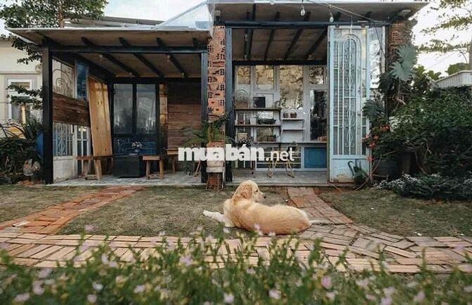 🏡 CHO THUÊ VILLA SÂN VƯỜN P8 ĐÀ LẠT  📍 Đường Trần Đại Nghĩa, Phường 8,