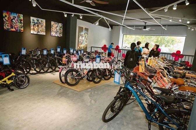 Kỹ thuật lắp ráp xe đạp không yêu cầu kinh nghiệm