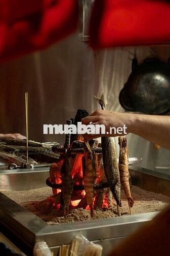 [***] ODER, BẢO VỆ BA ĐÌNH HÀ NỘI