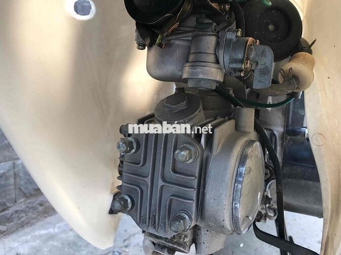 Cub 50cc xe 50 phân khối đời 2024  biển TP.HCM