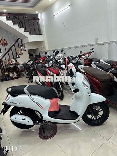 Honda Scoopy Club ( 2022🇹🇭2022 ) BS: 65 Cần Thơ