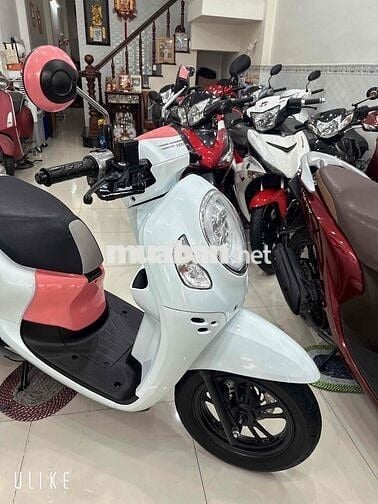 Honda Scoopy Club ( 2022🇹🇭2022 ) BS: 65 Cần Thơ
