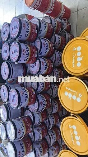 Tuyển 1 lái xe bằng b2