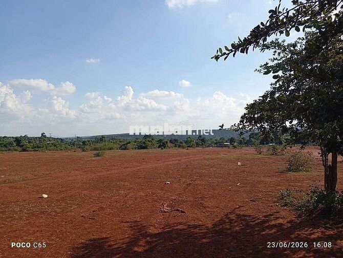 Đất view đẹp Tại Bờ Ngoong Gia Lai 
