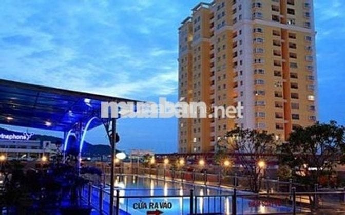 Cho thuê căn hộ 2PN 60m2 chung cư Vũng Tàu Plaza