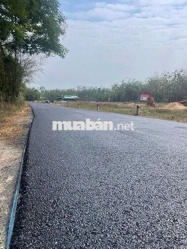 Cần bán lô đất giáp ranh TP HCM full thổ cư 116m2 giá 1,5 tỷ