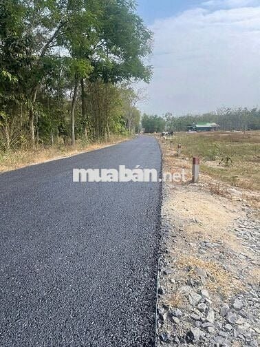 Cần bán lô đất giáp ranh TP HCM full thổ cư 116m2 giá 1,5 tỷ