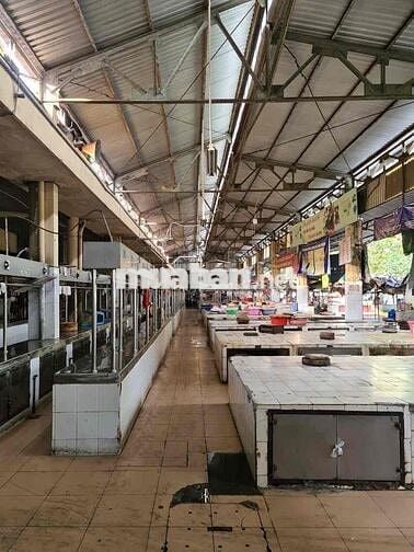 SANG SẠP THỊT HEO CHỢ BÀU CÁT CHỈ 50TRIỆU NGUYỄN HỒNG ĐÀO P14 TÂN BÌNH