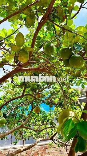 GIÁ SIÊU RẺ ĐẤT GẦN BẾN XE LIÊN TỈNH CHỈ CÓ 11TR/M2