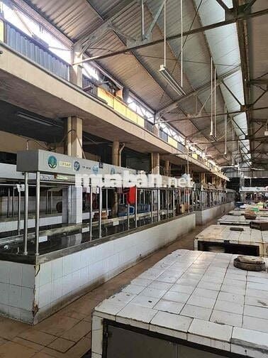 SANG SẠP THỊT HEO CHỢ BÀU CÁT CHỈ 50TRIỆU NGUYỄN HỒNG ĐÀO P14 TÂN BÌNH