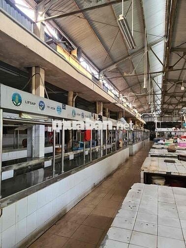 SANG SẠP THỊT HEO CHỢ BÀU CÁT CHỈ 50TRIỆU NGUYỄN HỒNG ĐÀO P14 TÂN BÌNH