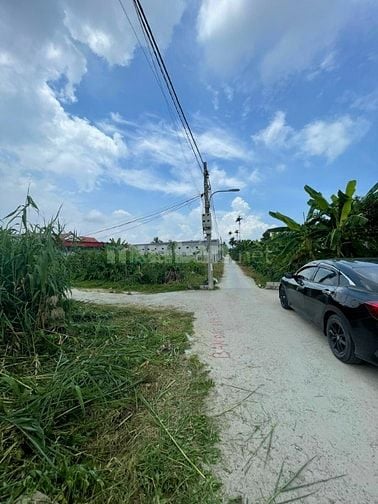 Cần Bán Nhanh Lô Đất 60m2 Minh Đức Đồ Sơn. Giá 1 tỷ.