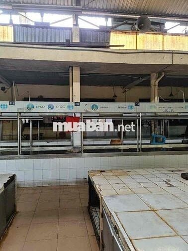 SANG SẠP THỊT HEO CHỢ BÀU CÁT CHỈ 50TRIỆU NGUYỄN HỒNG ĐÀO P14 TÂN BÌNH