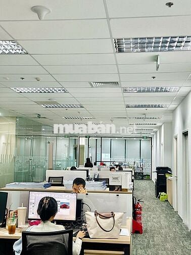 BIỆT THỰ NGANG 13M TRẦN QUANG DIỆU – QUẬN 3 |  VỊ TRÍ ĐẸP