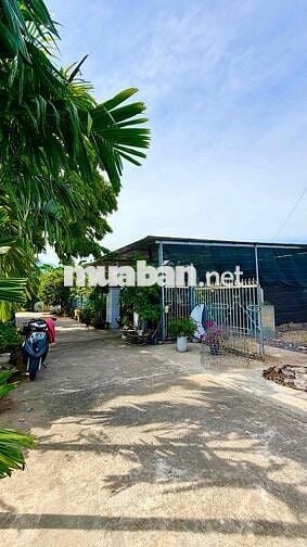 GIÁ SIÊU RẺ ĐẤT GẦN BẾN XE LIÊN TỈNH CHỈ CÓ 11TR/M2