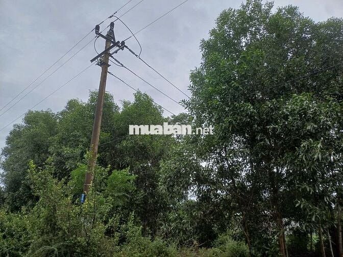 Cần bán mảnh đất chính chủ gần biển Mỹ Khê 2,65 tỷ sổ hồng riêng