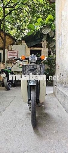 Honda Super Cub 50 Xanh rêu