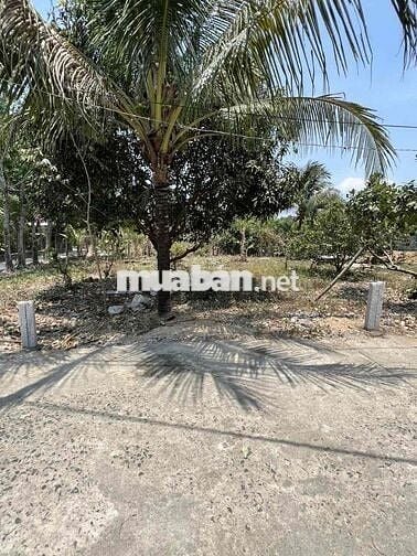 Cần bán đất đẹp bằng phẳng vuông vứt nằm trục đường nhựa  rộng 40 m .