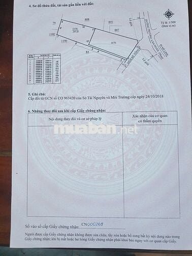 Bán đất Full thổ cư pháp lý chuẩn mặt tiền Trương Văn Hoàn Đà Lạt