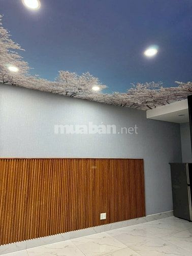 CHÍNH CHỦ CHO THUÊ NHÀ NGUYÊN CĂN ĐƯỜNG NGUYỄN PHI KHANH, P. TÂN ĐỊNH,