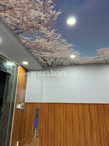 CHÍNH CHỦ CHO THUÊ NHÀ NGUYÊN CĂN ĐƯỜNG NGUYỄN PHI KHANH, P. TÂN ĐỊNH,