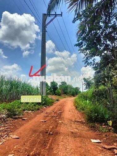 đất DT ngan lớn 30 dài 35 giá ngộp, sổ hồng sẵn