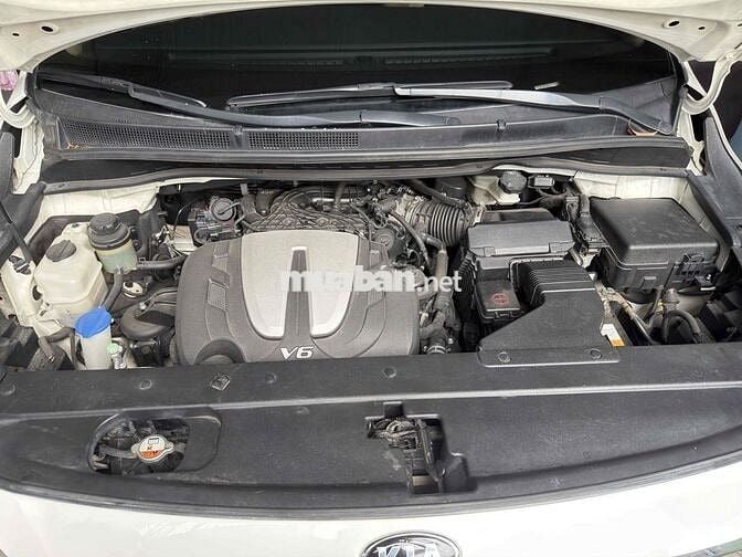 Kia Sedona 2020 Bản cao cấp Trắng