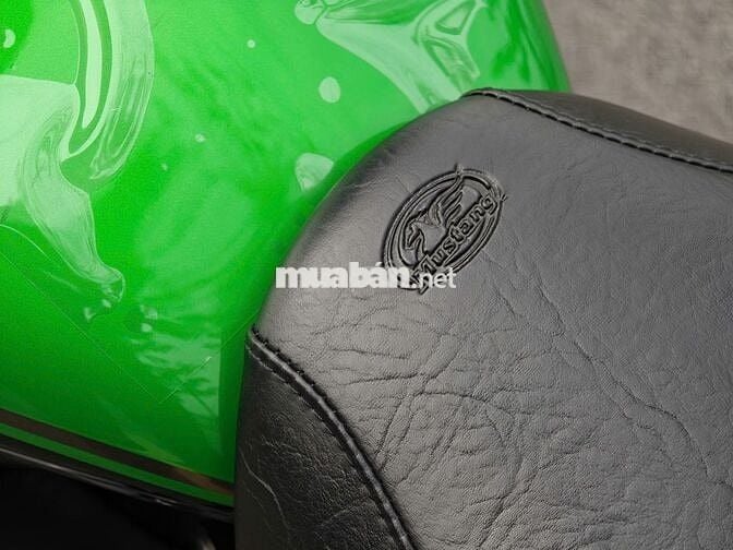 Kawasaki Vulcan 900 Custom 2019 Odo 300 Mile