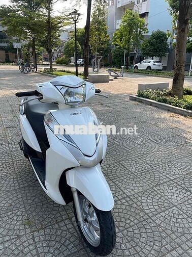 Honda Lead Trắng