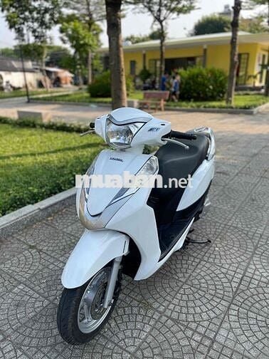 Honda Lead Trắng