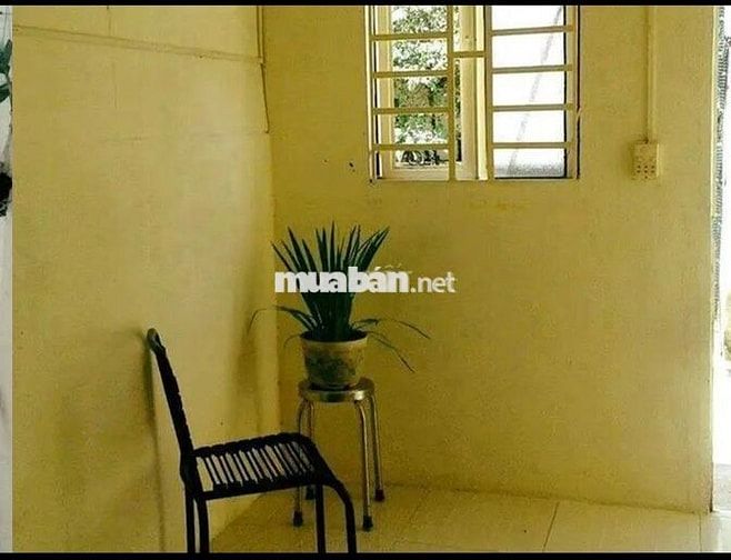Nhà trọ có sân vườn QL 50, Bình Chánh, giáp Q8 biệt lập an ninh 24/24