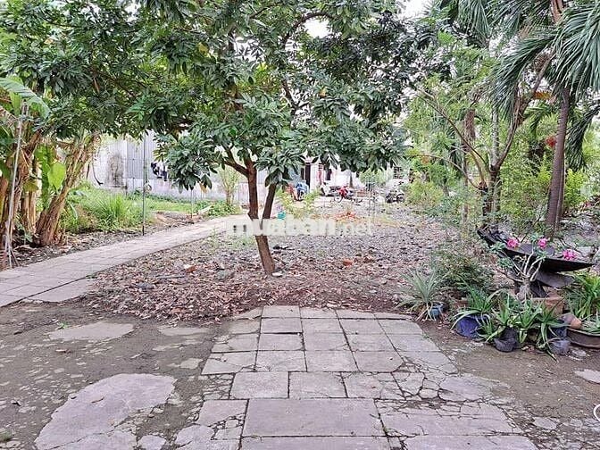 Nhà trọ có sân vườn QL 50, Bình Chánh, giáp Q8 biệt lập an ninh 24/24