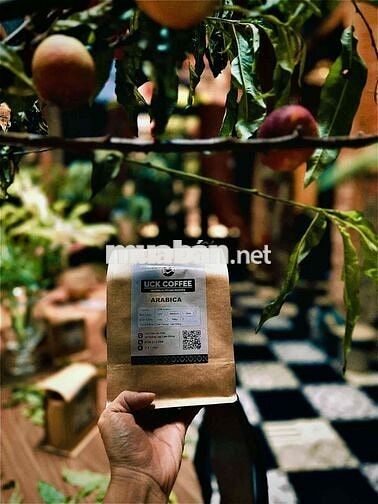 tuyển dụng nhân viên quán cafe