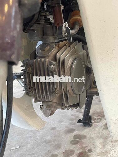 Honda Dream II Trắng, Đỏ
