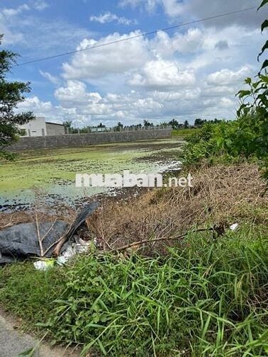 Bán đất mặt tiền tại Đường Tỉnh lộ 833D, Tân Bình, Tân Trụ, Long An