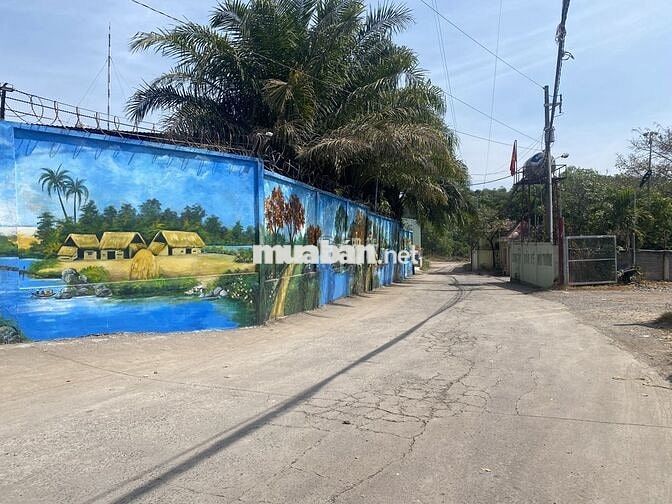 Tuyển dụng Lao động phổ thông